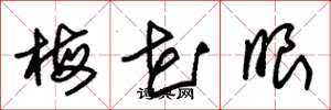 朱锡荣梅花眼草书怎么写