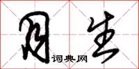 朱锡荣月生草书怎么写