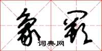 朱锡荣象阙草书怎么写