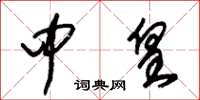 朱锡荣中皇草书怎么写