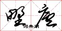 朱锡荣野庐草书怎么写