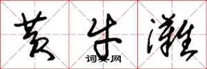 朱锡荣黄牛滩草书怎么写