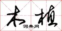 朱锡荣木植草书怎么写