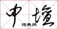 朱锡荣中坛草书怎么写