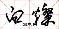 朱锡荣白灿草书怎么写