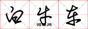 朱锡荣白牛车草书怎么写