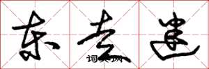 朱锡荣东走迷草书怎么写