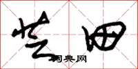 朱锡荣芝田草书怎么写