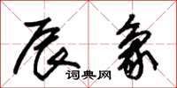 朱锡荣辰象草书怎么写