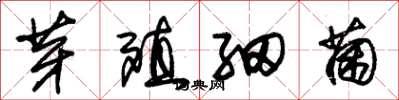 朱锡荣芽殖细菌草书怎么写