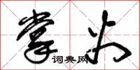 朱锡荣掌火草书怎么写