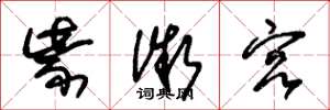 朱锡荣紫微宫草书怎么写