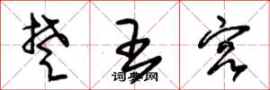 朱锡荣楚王宫草书怎么写