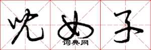 曾庆福儿女子草书怎么写