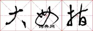 曾庆福大母指草书怎么写