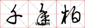 曾庆福千年柏草书怎么写