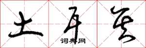 曾庆福土耳其草书怎么写