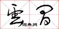 曾庆福云间草书怎么写
