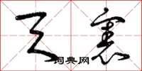 曾庆福天宪草书怎么写
