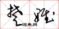朱锡荣楚雅草书怎么写