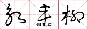 曾庆福永丰柳草书怎么写