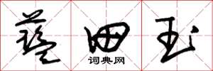 朱锡荣蓝田玉草书怎么写
