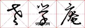 曾庆福老学庵草书怎么写