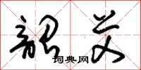 朱锡荣韶艾草书怎么写