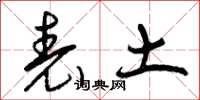 曾庆福表土草书怎么写