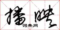 朱锡荣播映草书怎么写