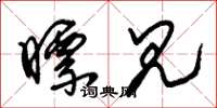 朱锡荣瞟见草书怎么写