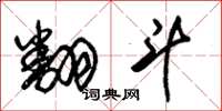 朱锡荣翻斗草书怎么写