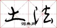 曾庆福土法草书怎么写