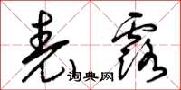 曾庆福表露草书怎么写