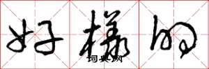 曾庆福好样的草书怎么写