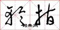 曾庆福轮指草书怎么写