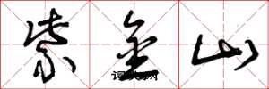 曾庆福紫金山草书怎么写