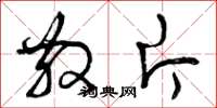 曾庆福散片草书怎么写