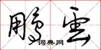 曾庆福鹏云草书怎么写