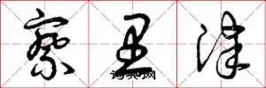 曾庆福察里津草书怎么写