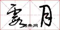 曾庆福霞月草书怎么写