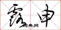 曾庆福露申草书怎么写