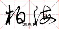 曾庆福柏海草书怎么写
