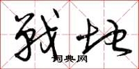 曾庆福战地草书怎么写