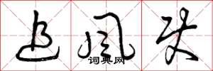 曾庆福追风使草书怎么写