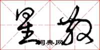 曾庆福星散草书怎么写