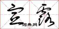 曾庆福宣露草书怎么写