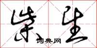 曾庆福柴望草书怎么写