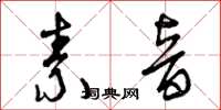 曾庆福素音草书怎么写