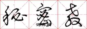 曾庆福秘密教草书怎么写